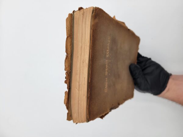 Thou Shalt Waken , Bronson , Original 1907 Edition (Fair to Poor Condition) - Image 9