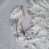USMC Snow Camo Parka